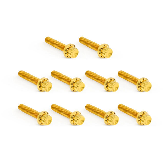 Titanium 12-Point Cam/Point Cover Bolt Kit Gold For 99-17 Twin Cam (NU)