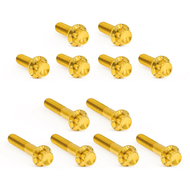 Titanium 12-Point Rocker Box Bolt Kit Gold For 99-17 Twin Cam (NU)