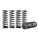 Clutch Springs CRF450R 02-20/CRF450RX 17-20