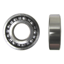 Bearing 6004