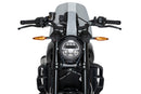 Sport Screen Light Smoke For Indian FTR 1200 2019>2025