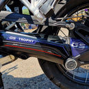 3D Motorcycle Stickers - Swing Arm For BMW R 1250 GS/GSA 2021-24