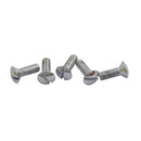 H/B Master Cylinder Cover Screw Chrome