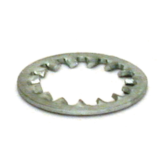 Lockwasher Swingarm Bolt