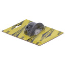 Clamp H/B Master Cyl./Clutch Black