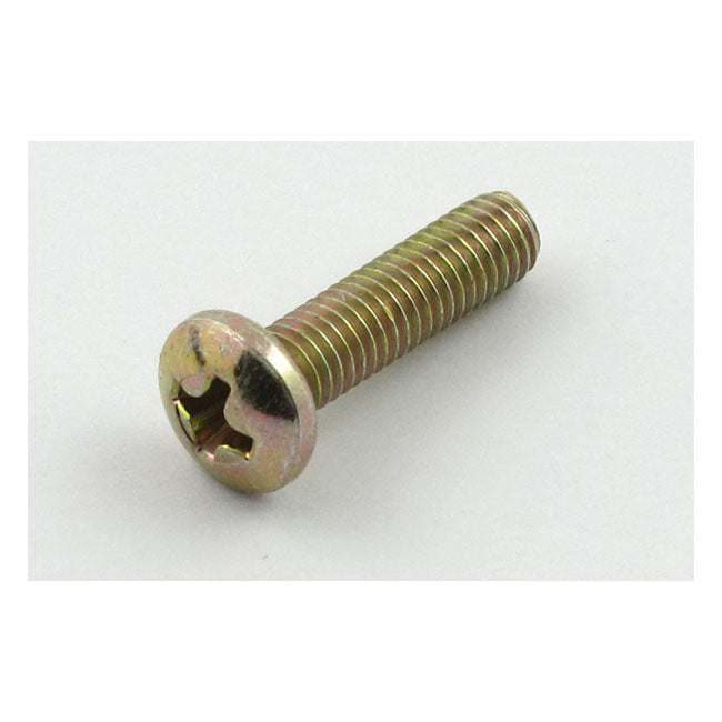 Cycle Electric Brush Cover Screw