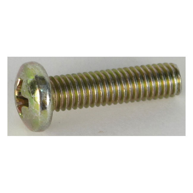 Cycle Electric Brush Plate Screw