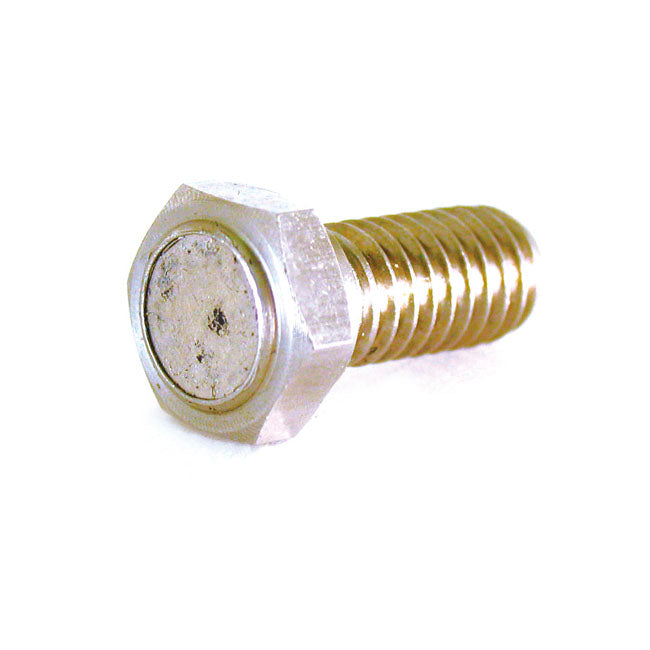 Speedo Sensor Magnet Bolt M8 X 1.25 X 29 MM