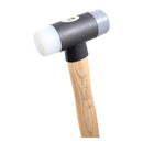 Hammer With Nylon Tips
