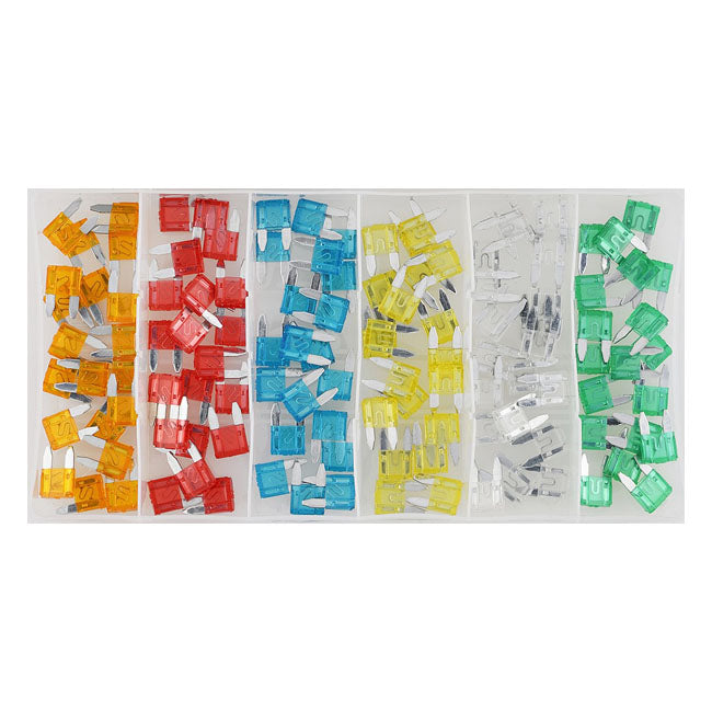 Mini Fuse Assortment Box 120-Piece