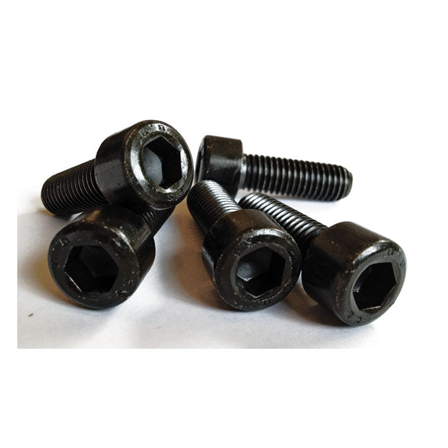 Triple Trees Screws Black For 12-17 V-Rod Muscle