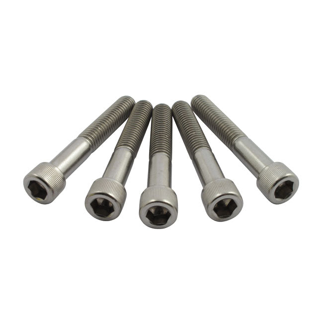 3/8-16 X 2 1/2 Inch Allen Bolt Stainless