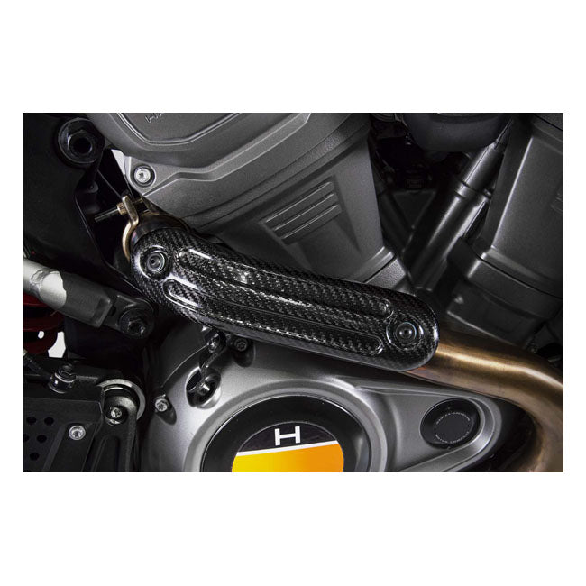 Pan America Carbon Heat Shield For 20-23 RA1250 Pan America