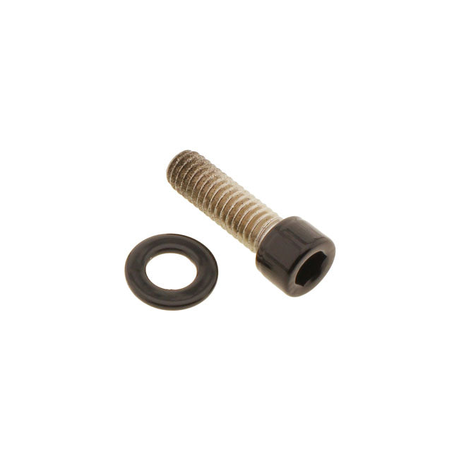 Bolt Kit Rear Belt Guard