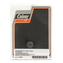 Plug Oil Pump Check Valve 989063