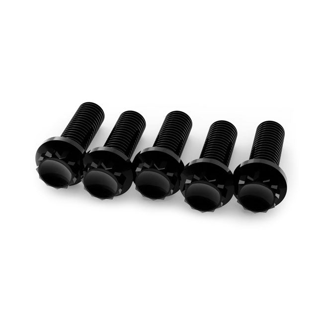 Titanium 12-Point Brake Rotor Bolt Kit Front Black