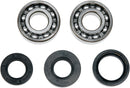 Crank Bearing/Seal Kit