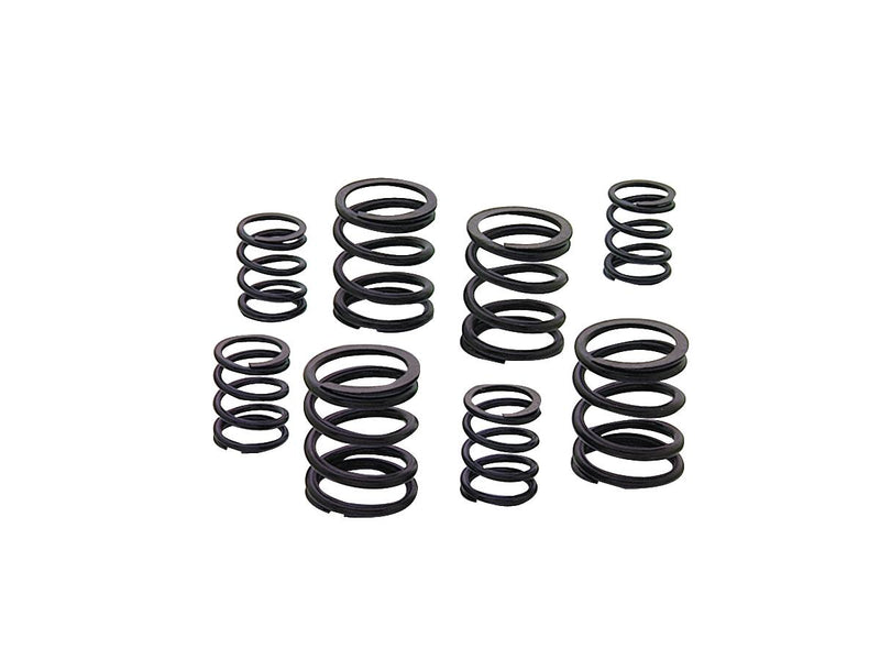 Valve Spring Kit Pan / Shovel