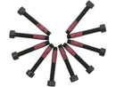 Torx Stator Mounting Screws 10-24 X 1 1/4 Inch Pack Of 10