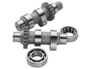 TW21 Camshaft