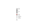 Revtech Valve Spring Cup