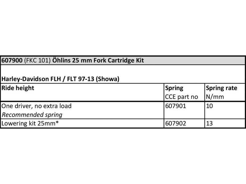 Road & Track Cartridge Kit For FLHX / FLTX 13