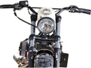 Sportster 48 Windshield Raw