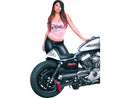 Sportster Cafe Racer Tail