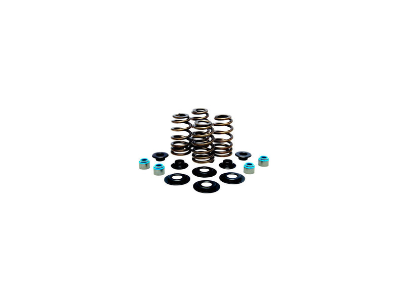 Beehive Valve Spring Kit 0.660 Inch Lift