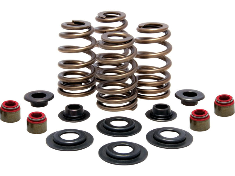 Beehive Valve Spring Kit 600 Inch