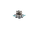 Beehive Valve Spring Kit 630 Inch