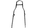 Low Style Sissy Bar For Belt Drive With Fatbob Fender Sissy Bar For Rigid Frames Chrome