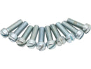 Inner Primary Screws