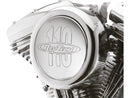 Air Cleaner Kit Chrome - 110 Inch