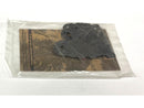 Inner Primary To Transmission Gasket Pack Of 10