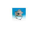 Primary To Transmission Gasket - Pack Of 10 For 82-84 FXR