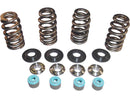 05 TC Valve Spring Steel Clear