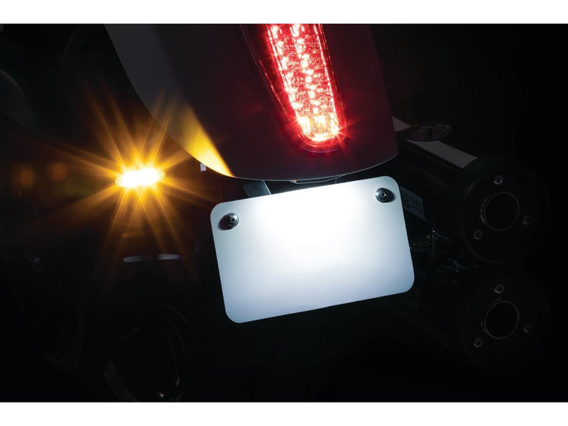 Custom Rear Turn Signal & License Plate Mount For Scout