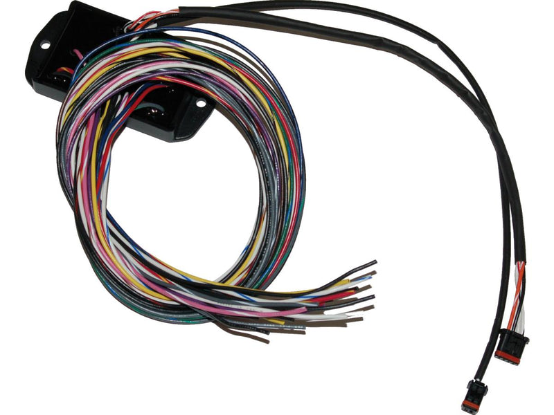 Bagger Can Bus Controller For Custom Handlebar Switches