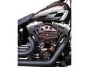 Slotted Air Filter Cover Black Ready To Paint For 13-14 FXSBSE
