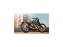 Tracker 200 Tire/Black Powdercoated Struts Rear Fender Kit For Softail