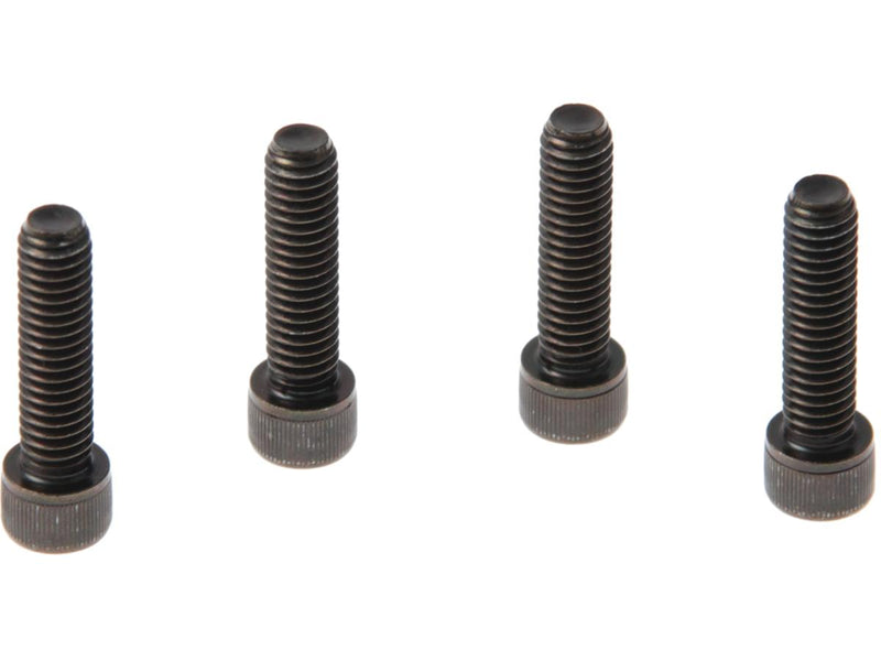 Front Fender Mounting Screws Black Galvanized For 10-20 XL1200X