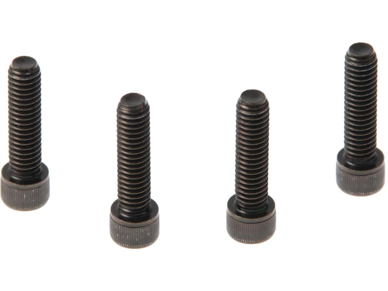 Front Fender Mounting Screws Black Galvanized For 10-20 XL1200X