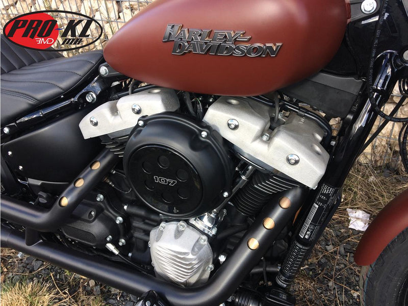 WTF Shovel Rocker Box Cover Milwaukee Eight Raw