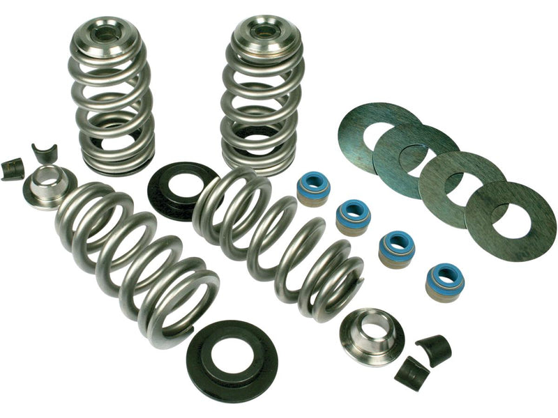 Endurance Beehive Valve Spring Kit 97-02 M2