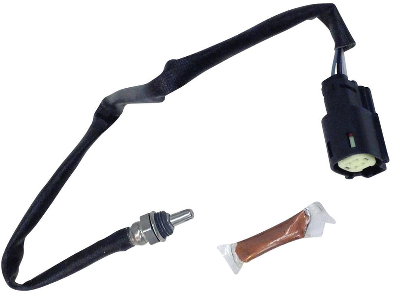 Oxigen O2 Replacement Sensor OEM