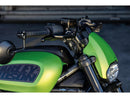 Sportster S Headlamp Fairing Black Raw Fibre Glass