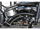 Rainbow Down Under Exhaust System Without Heat Shield Polished Smooth End Cap Black 2.5" For 07-16 Dyna