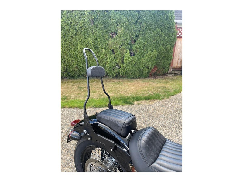 Quick Release Sissy Bar With Pad Gloss Black Powder Coated - 23 Inch