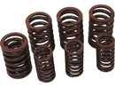 Valve Spring Kit Set Of 4 Inner & Outer Valve Springs